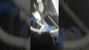 Заводим без ключа мопед альфа