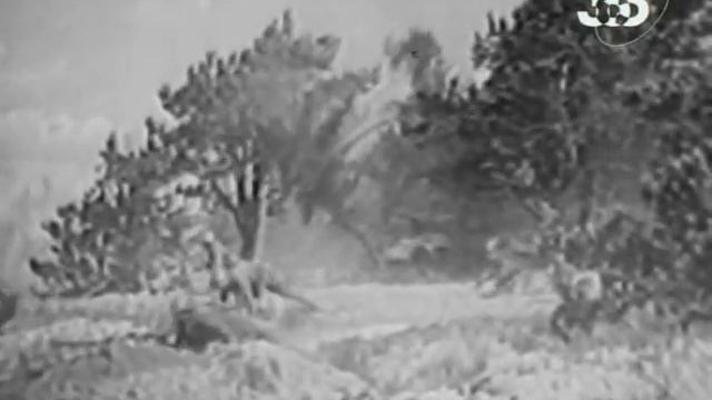 Освобождение Бобруйска. Июнь 1944 года. смотреть онлайн