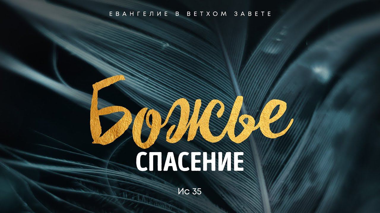 Исаия: 20. Божье спасение | Ис. 35 || Алексей Коломийцев смотреть онлайн