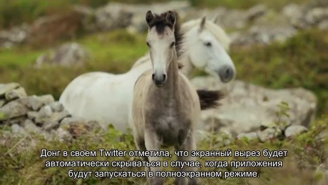 Названа основная проблема MacBook с «монобровью» смотреть онлайн