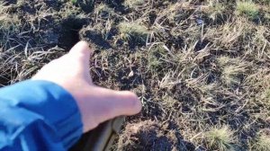 Металлоискатель ХP Deus.  Поиск монет прошел по полю , нашел детали от сельскохозяйственной техники