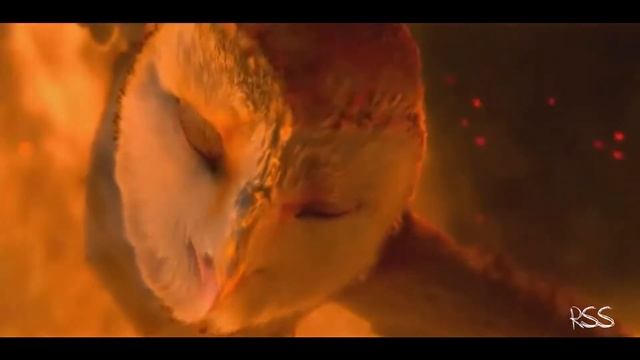 |Wise Night Guardians| Мудрые Ночные Стражи смотреть онлайн