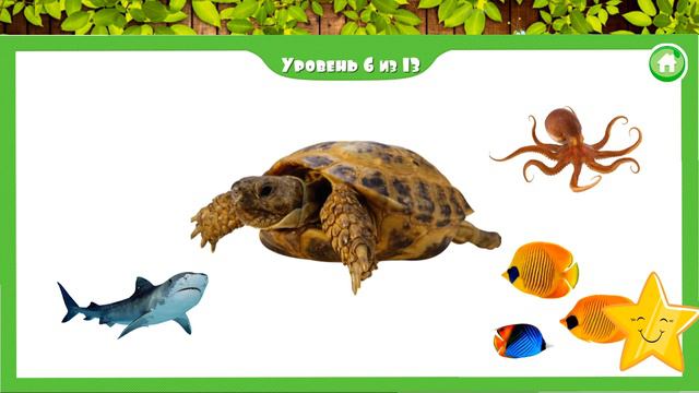 Морские жители🐙🐠🐡🐬🐋🦈. Малыш учит. Играем вместе. Игрушки и игры с детьми. смотреть онлайн