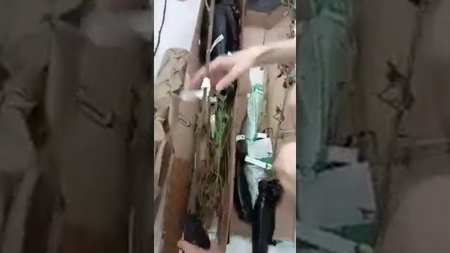 Распаковка заказа из магазина Беккер смотреть онлайн