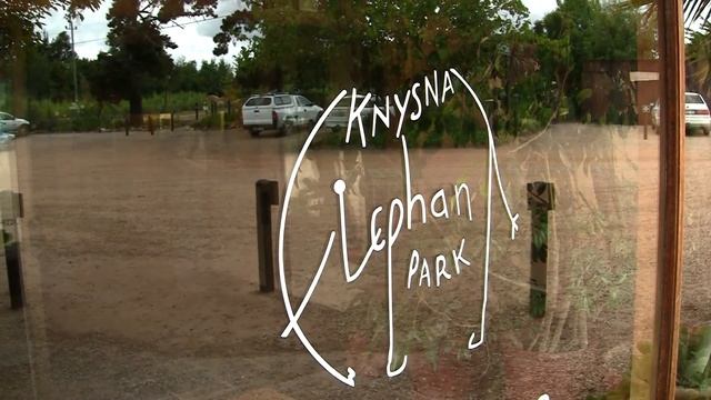 WILDLIFE PARKS IN PLETTENBERG BAY, SOUTH AFRICA