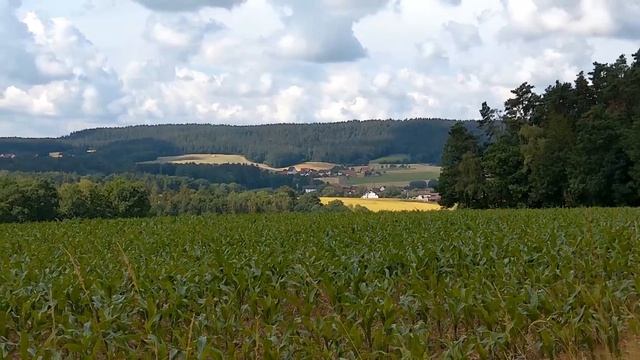 стихи: Жизнь с чистого листа. Лариса Лебедева Кормилицына смотреть онлайн