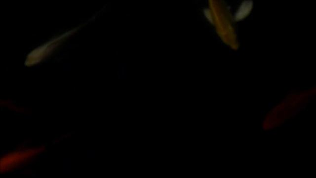 Temples in Vietnam - Des prières en fumées смотреть онлайн