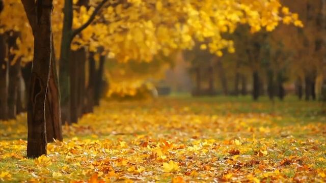 Soothing Meditation Music @ 417 Hz | Healing Tones For Body, Mind & Spirit смотреть онлайн