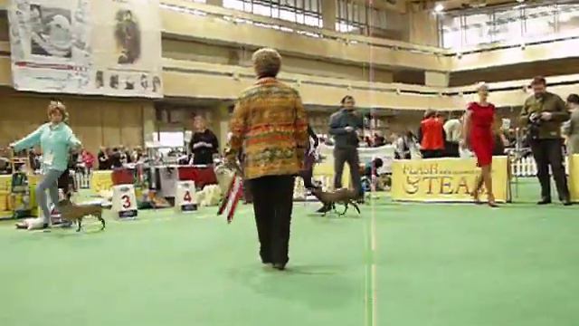 ксолоитцкуинтли смотреть онлайн