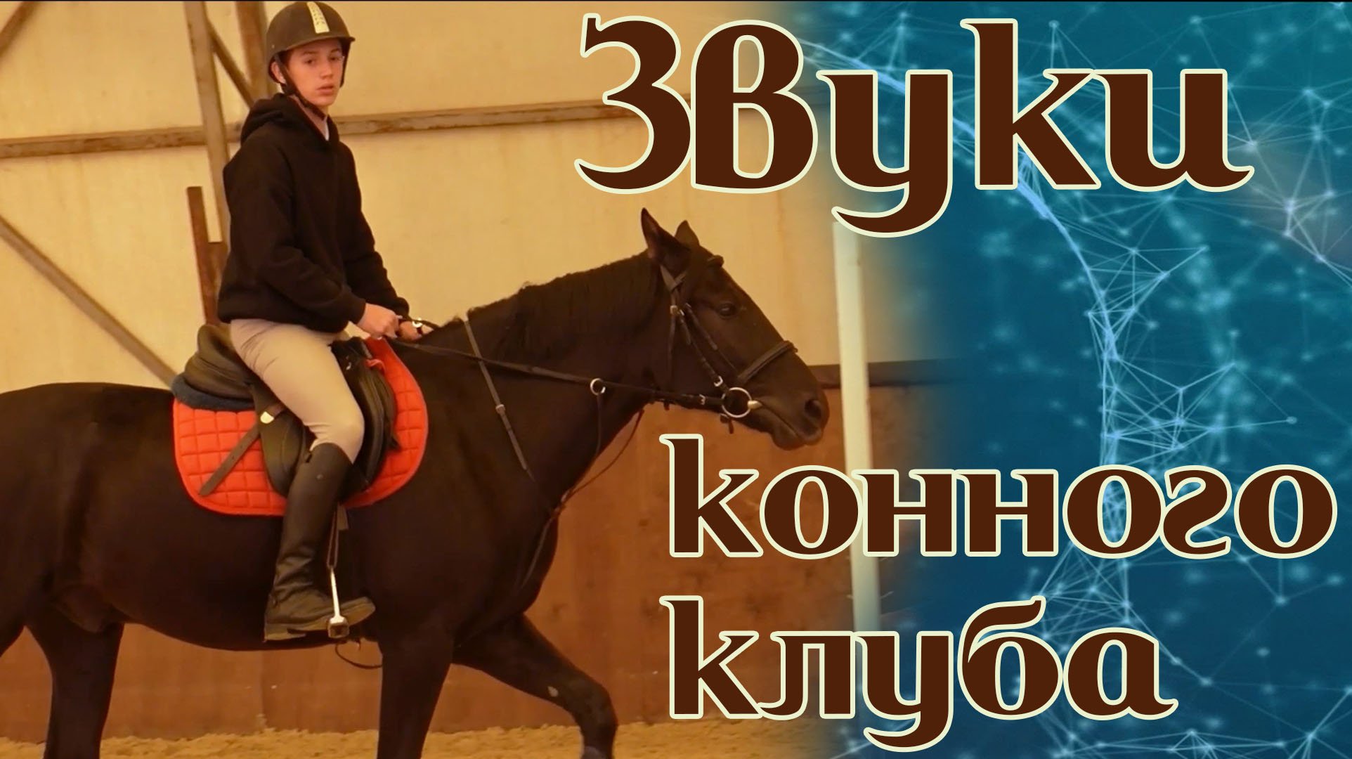 Как звучит конный клуб? Проект "Звуки"