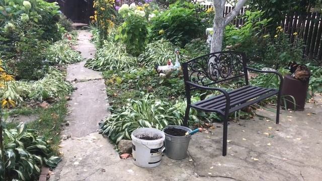 Биогумус , компост на своём участке . Готовлю грядки и землю для рассады смотреть онлайн