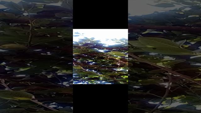 20240811_104736.mp4 смотреть онлайн