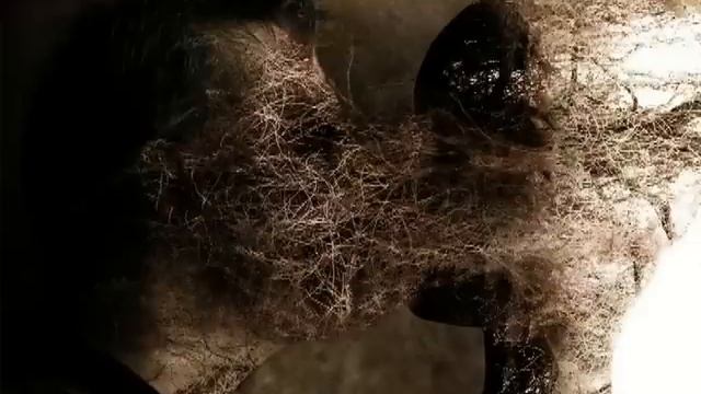 Закарпатський Сектор - Боляче... смотреть онлайн