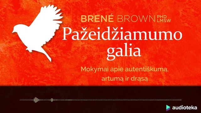 PAŽEIDŽIAMUMO GALIA. Brene Brown audiokursas | Audioteka.lt смотреть онлайн