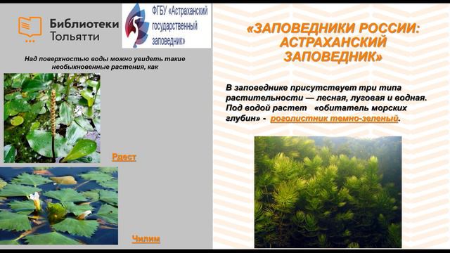 Астраханский государственный заповедник смотреть онлайн