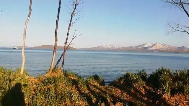 Собираем черемшу // покатушки смотреть онлайн