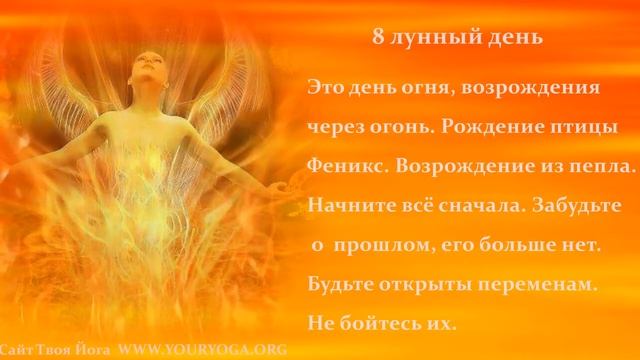 8 лунный день смотреть онлайн