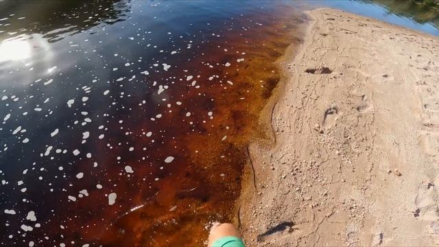 Dormimos no meio do nada na Chapada Diamantina | Ep407 #motorhome #chapadadiamantina смотреть онлайн