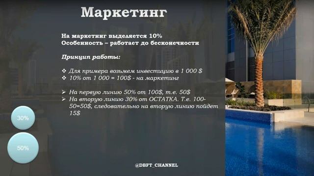 Dubai Business Fond Token | Первая презентация смотреть онлайн