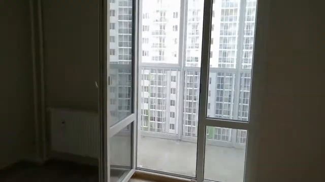 Московский проспект 205 смотреть онлайн