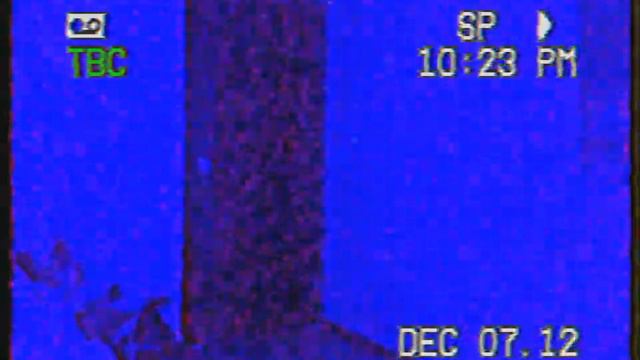 Rarevision VHS Test (part 11)