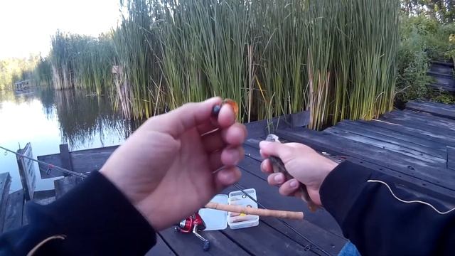 Ловля окуня на силикон Fanatik Larva и Lucky John Tioga