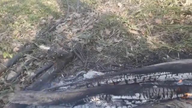 Миротворец80. 16/19 Одна из причин мартовской просадки энергетики на планете. 1.04.19 смотреть онлайн