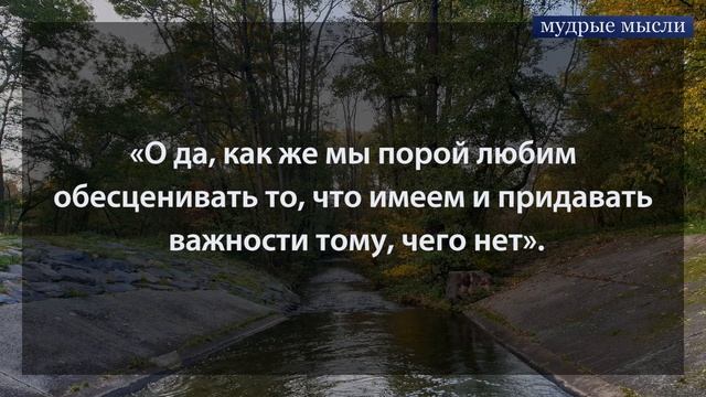 Жизнь — это бесконечное повторение | Самые лучшие цитаты и афоризмы