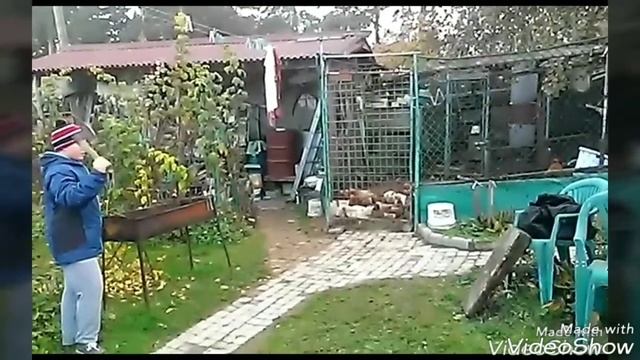 Метание топора! смотреть онлайн