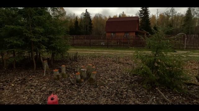 Осенняя лень. Готовим участок под корчевание. смотреть онлайн