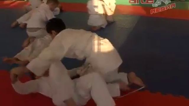 Артёмовские ребята, занимающиеся Айкидо, успешно прошли аттестацию смотреть онлайн