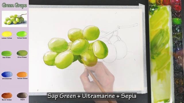 Basic Fruit Watercolor - Green Grape (sketch & color name view, watercolor material) смотреть онлайн