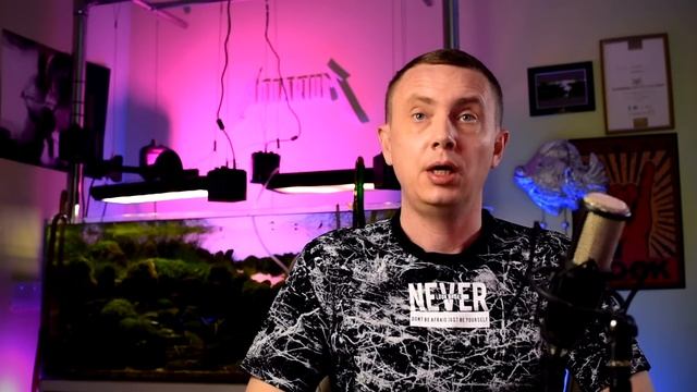 Альгициды: добро и зло! смотреть онлайн