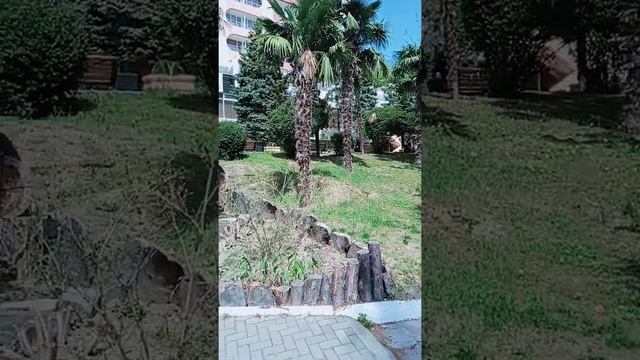 территория Санатория Искра смотреть онлайн