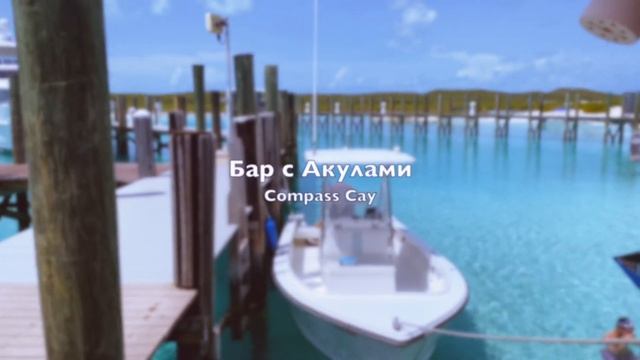 БАГАМЫОстров Плавающих СвинейАкулыЧерепахиИгуаныНеобитаемый Остров