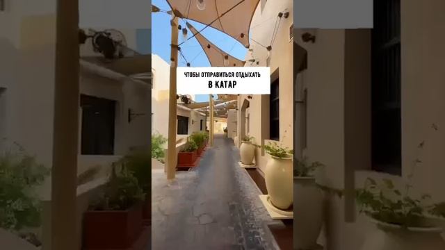 Qatar 2022 смотреть онлайн