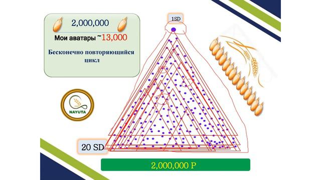 NAYUTA Единоразовый вход и пассивный доход $2 000 000 смотреть онлайн