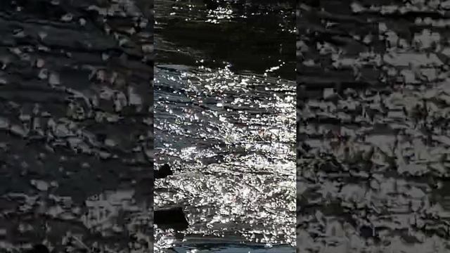 Река Истра в селе Павловская Слобода. смотреть онлайн