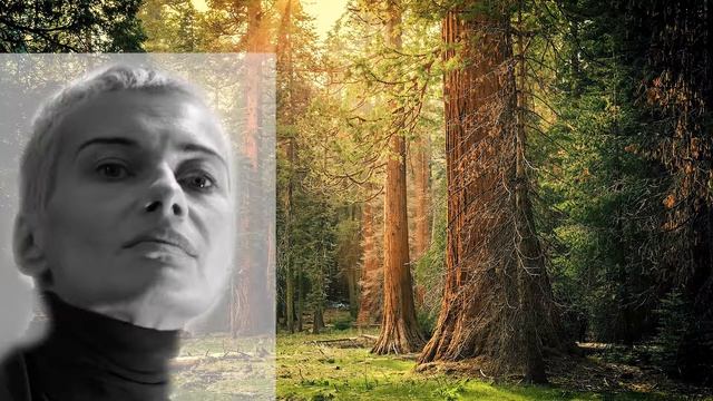 Как снять религиозную зависимость