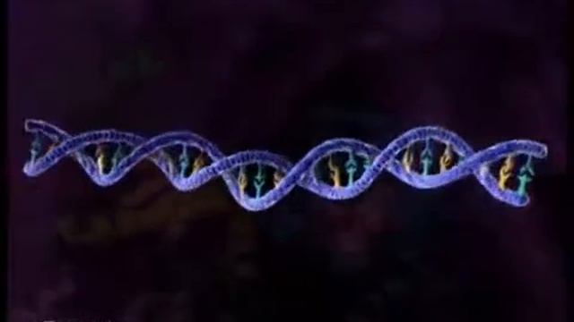 фильм проникновение вируса смотреть онлайн