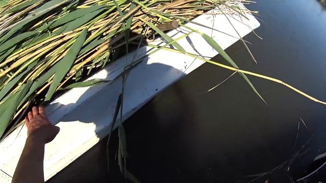 Проект "Аренда водоёма" 19 (ДР) смотреть онлайн