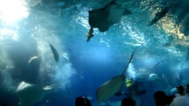 Стеклянный потолок, круто. смотреть онлайн