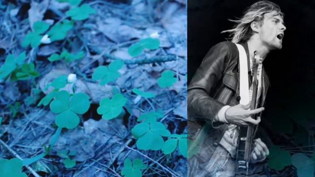 Общение с духом, Курта Кобейна. Интересные ответы;) смотреть онлайн