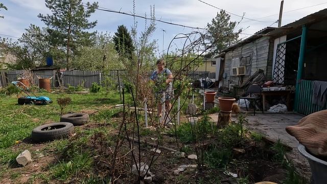 Влог,Обычный теплый денек на даче.Чем нужно заниматься на дачном участке ? смотреть онлайн