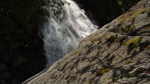 Почему не всегда стоит быть красивой смотреть онлайн