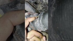 Nissan Rnessa обзор ходовой части. Диагностика