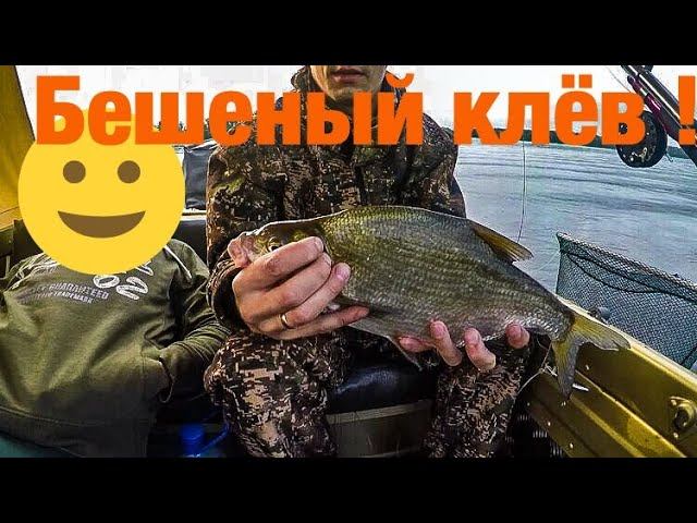 ✅Ловля леща на КОЛЬЦО, такого результата никто не ожидал ! Рыбалка на волге 2019 Август смотреть онлайн