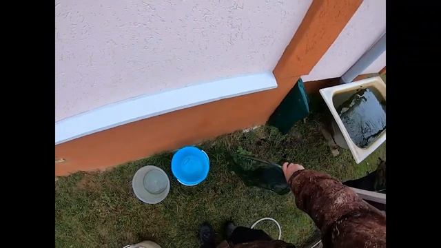 Заготовка Живца! часть 2 смотреть онлайн