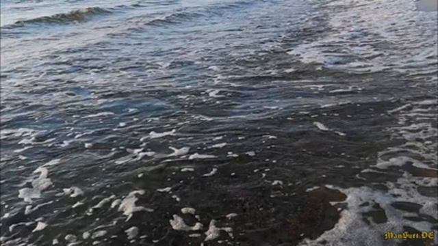 Донское. Пляж. Балтийское море. Август. смотреть онлайн