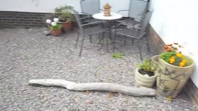 Video Recording Quality On Nikon S2500